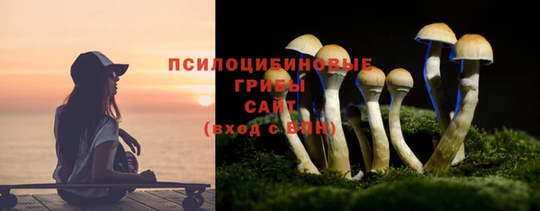 гидропоника Инсар