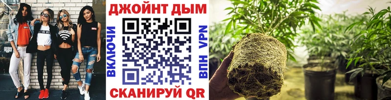 МАРИХУАНА марихуана  Купить закладки  Сегежа 